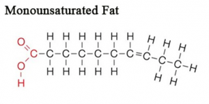 picture of monounsaturated fat molecule