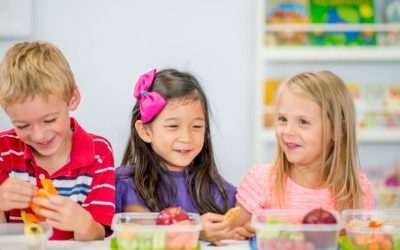 The Selective (picky) Eater Goes to School: tips for packing lunch